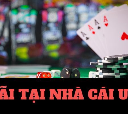 live casino bitcoin casino 🎰 erfahrungen