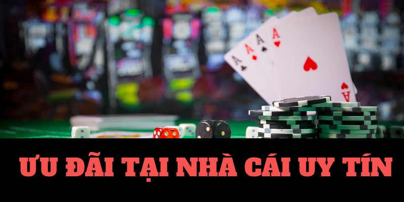 live casino bitcoin casino 🎰 erfahrungen